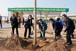 Hà Nội hưởng ứng chương trình trồng 1 tỷ cây xanh