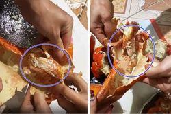 Mua tôm hùm Alaska đổi bữa, cả gia đình buồn thiu nhìn nhau