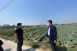 Cấp thẻ ra đồng cho nông dân vùng dịch ở Hải Dương