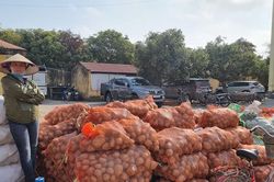Bộ Công Thương nỗ lực tháo gỡ khó khăn cho nông sản Hải Dương