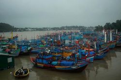 Hỗ trợ tàu thuyền tránh bão Dujuan