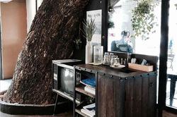 Kỳ lạ 10 ngôi nhà có cây đâm xuyên độc đáo nhất thế giới
