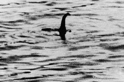 Quái vật hồ Loch Ness bị săn lùng điên cuồng chỉ là dàn dựng?