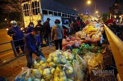 Một đêm giải cứu: 250 tấn rau, 10 vạn trứng gà Hải Dương về Hà Nội