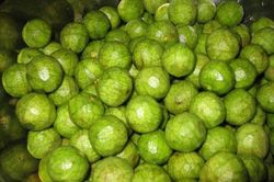 Những người cần hạn chế ăn quả sấu