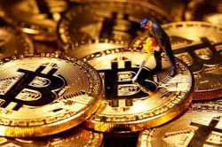 Mua Bitcoin được 2 tuần, Elon Musk lãi khủng bằng doanh thu bán xe điện cả năm 2020