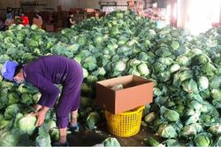 Chuỗi cung ứng nguy cơ bị đứt gãy do khó lưu thông hàng hóa vùng dịch