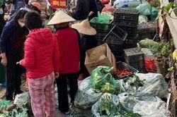 Chung tay giải cứu nông sản cho bà con Hải Dương
