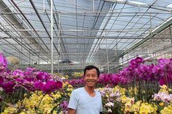 Nhã Uyên - địa chỉ cung cấp các giống lan quý