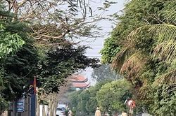 Hải Phòng: Hơn 230 ca F1 đều cho kết quả âm tính với virus SARS-CoV-2