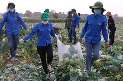 Góc nhìn 365: Điệp khúc 'giải cứu nông sản'