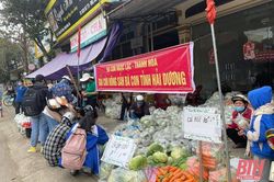 Người dân Ngọc Lặc chung tay 'giải cứu' nông sản có xuất xứ từ Hải Dương