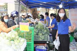 Hà Nội đẩy mạnh các hoạt động hỗ trợ tiêu thụ nông sản của tỉnh Hải Dương