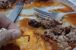 'Bóc phốt' bánh mỳ chảo có gián, khách hàng bị nhân viên nghi ngờ tự nhặt gián bỏ vào đồ ăn