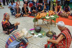 Tổ chức lễ Khai năm tạ ơn rừng phải đảm bảo an toàn phòng, chống dịch