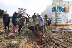 Sử dụng thuốc diệt chuột bị cấm tại TP Thanh Hóa: Xử lý trách nhiệm ra sao?