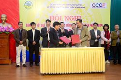 Cơ hội vàng trong sản xuất nông nghiệp hàng hóa