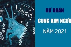 Dự đoán 12 cung hoàng đạo năm 2021: Kim Ngưu nhiều khó khăn, lắm cơ hội