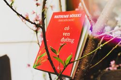 Trách nhiệm của người đàn ông với gia đình trong 'Cỏ ven đường'