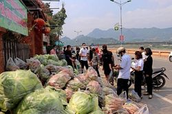 Người dân Hòa Bình 'giải cứu' nông sản Hải Dương