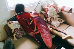 Chiếc gối ôm này lên sóng... hội sợ gián bỏ chạy 'té khói'