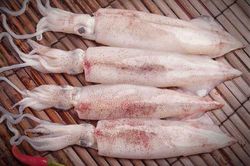 Mẹo chọn mực tươi ngon như dân biển