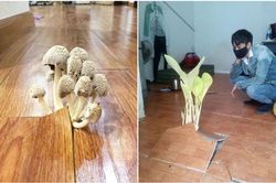 Sau kỳ nghỉ Tết dài hơi, sinh viên trở lại phòng trọ với nhiều điều bất ngờ đến... ám ảnh