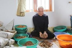 Tuổi cao, trí sáng