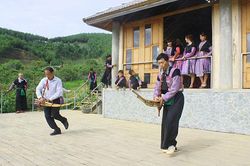 Cánh xuân Tây Bắc