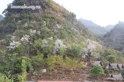 Tháng hai