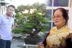Nhà ở Mỹ của Bằng Kiều bị trộm đột nhập, mất cây bonsai đắt đỏ