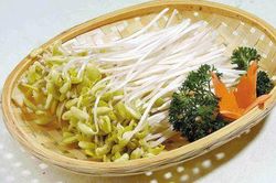 Giảm cân nhanh chóng trong một tuần với giá đỗ