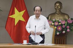 Không để nợ đọng văn bản của nhiệm kỳ Chính phủ 2016-2021