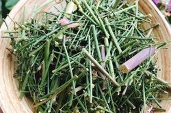 Dùng thứ cây vào mùa và rẻ như cho này, căn bếp có ám mùi đến mấy cũng sạch thơm dễ chịu, củ sả hay vỏ chanh đều thua xa