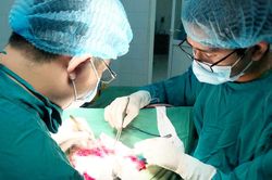 Cứu bé trai bị chấn thương sọ não nặng do ngã cầu thang
