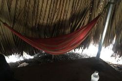 Người đàn ông tử vong bất thường trong quán cà phê 'phấn khởi'