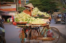 Hà Nội mùa hoa bưởi ngát hương