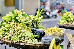Hà Nội, giao mùa hương Bưởi
