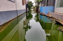 Kinh hãi con ngõ ở Quảng Bình thành ao nước thải, bốc mùi thối dù không mưa