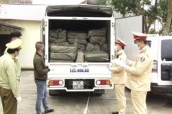 Dùng biển giả, lái xe tải chở 2,5 tấn nầm lợn không nguồn gốc