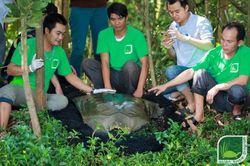 Tìm 'bạn đời' cho rùa Hoàn Kiếm