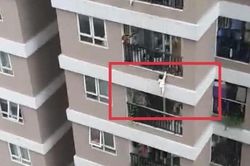 Bé gái 2 tuổi rơi từ lan can tầng 12A, được người đàn ông cứu sống thần kỳ