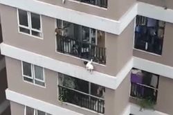 Phép màu đến với cháu bé rơi từ tầng 12 chung cư 60B Nguyễn Huy Tưởng