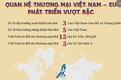 Quan hệ thương mại Việt Nam - EU phát triển vượt bậc