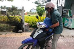 Dân khát giữa trung tâm thành phố