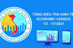 Bắt đầu Tổng điều tra kinh tế toàn quốc năm 2021
