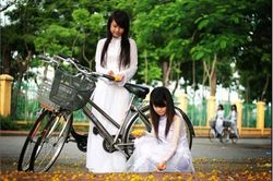 Những thành phố nên khám phá bằng xe đạp của Việt Nam