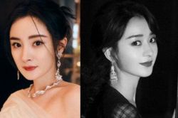 Sau Đêm hội Weibo, stylist gây chiến vì địa vị của Dương Mịch và Triệu Lệ Dĩnh trong giới thời trang?