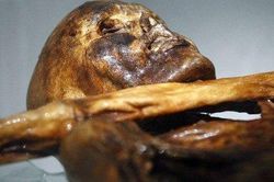 Người băng Otzi chết do lây bệnh từ bọ chét?