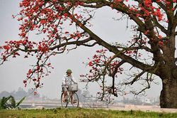 Dự báo thời tiết đáng chú ý tháng 3/2021